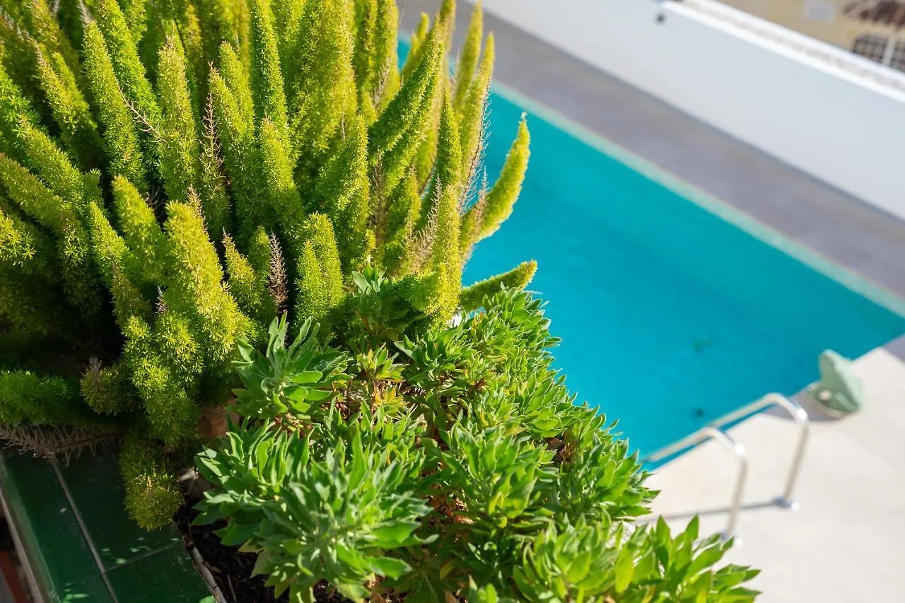 Stunning Seaview Villa In Torreblanca Private Pool By Costarentals - Ref 110 Fuengirola